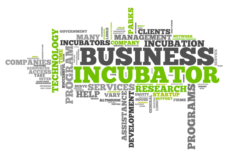 What is the value of your incubator